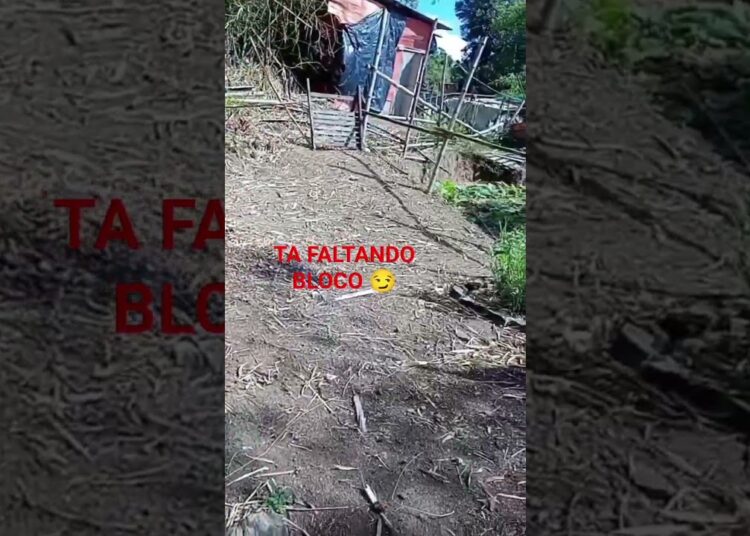 ESTA CASA É DA REALEZA