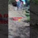 ESTA CASA É DA REALEZA