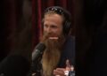 ❤Joe Rogan❤ on Apocalyptic Food #celebrity #podcast #joerogan #shorts