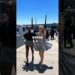 Pop Stars: Heels vs Flats 👠🥿(Taylor Swift, Billie Eilish, Sabrina Carpenter).