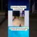 Exclusivo: Famosa é assaltada! #noticias #fofocas