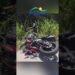 Motociclista de Manhuaçu morre em acidente na BR-262, em Realeza