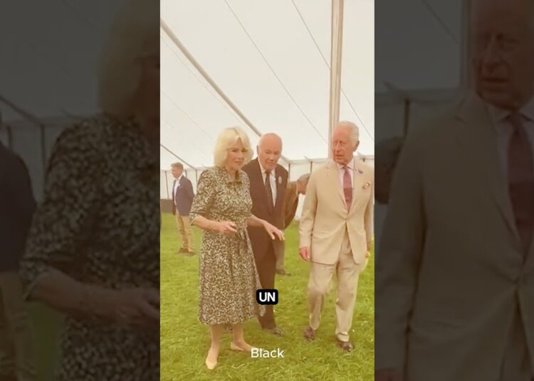 Diana y Camila: dos mujeres que cambiaron para siempre la realeza británica 👑💔
