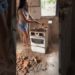 #memes FAXINA COM FOFOCA part 01