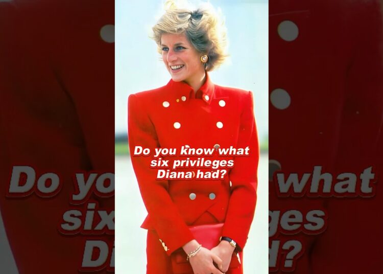 Do you know what six privileges Diana had? #diana #royal #queen #princess #fypage