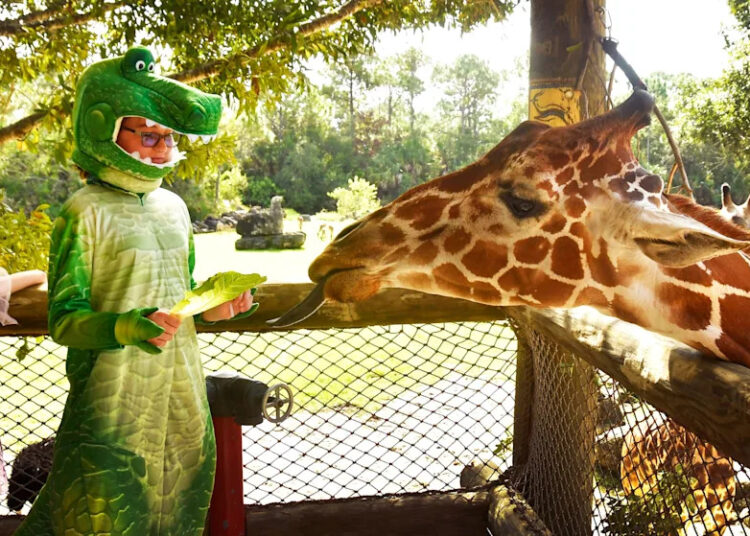 9 melhores coisas divertidas para fazer em Brevard de 3 a 9 de outubro