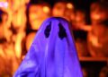 A biblioteca de Yorkville anuncia a programação de eventos de outono, da música ao vivo à diversão de Halloween - Shaw Local