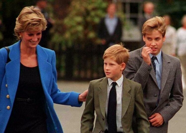 princesa-diana-william-e-harry_1.jpg