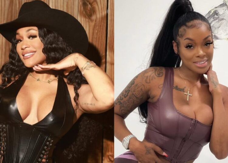 A mídia social reage à luta de Lira Galore e Beethebeauty