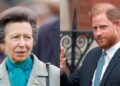 A princesa Anne surpreende a Ucrânia com o sincero tributo após a visita do príncipe Harry