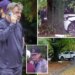Alec Baldwin bate Range Rover em árvore nos Hamptons