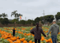 Archie e Lilibet se preparam para o Halloween enquanto Meghan Markle compartilha novo vídeo de família