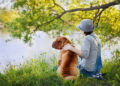 As 16 principais músicas sobre cães para quando você perde seu cachorro
