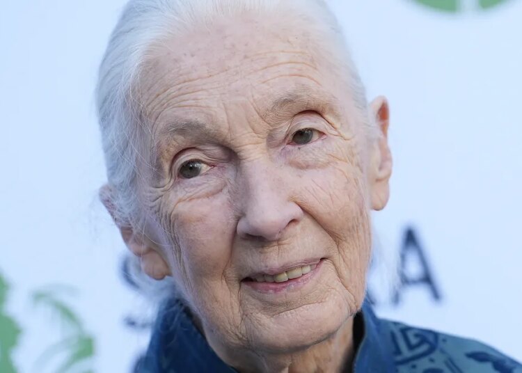 Causa da morte de Jane Goodall revelada