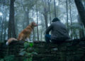 Conheça Indy, o cachorro, a estrela do novo filme de terror 'Good Boy'