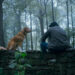 Conheça Indy, o cachorro, a estrela do novo filme de terror 'Good Boy'