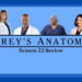 Crítica da estreia da 22ª temporada de Grey's Anatomy