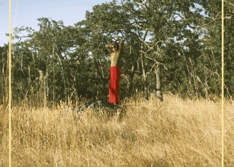 Dana Sipos detalha novo álbum 'Golden Molten' e compartilha “Songs of Longing” │ Exclaim!