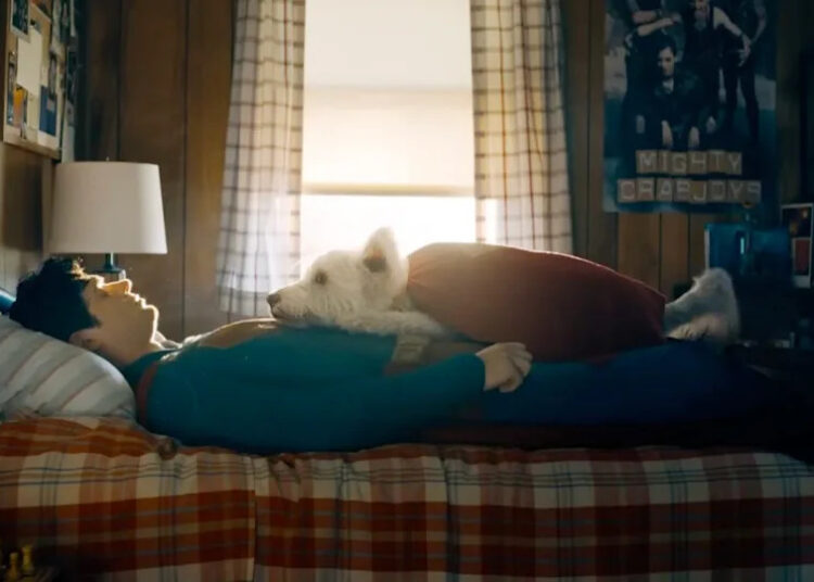 David Corenswet diz que a maioria dos cães dos set são fakers de verdade, mas se abriu sobre o trabalho com o ator Krypto do Super -Homem