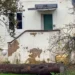 Dentro da propriedade em ruínas e decadentes do Royal Lodge do Príncipe Andrew enquanto a pressão aumenta