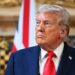 Donald Trump humilhou -se como estrela de Hollywood Questões Scathing Declaração - Celebrity News - Entretenimento