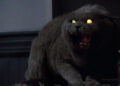 Esses cinco filmes, como Pet Sematary, deveriam ser básicos para o Halloween