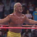 Estreia de 'Real American', mas não é Hulk Hogan saindo, irmão