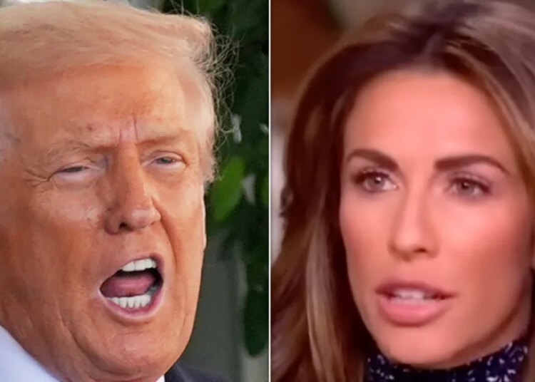 Ex-assessor de Trump destrói o plano de baile da Casa Branca de Trump com uma comparação real brutal