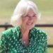 Família Real lança nova atualização sobre a aparência poderosa da Rainha Camilla