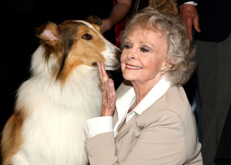 Forte e calorosa, June Lockhart foi um modelo de maternidade na TV