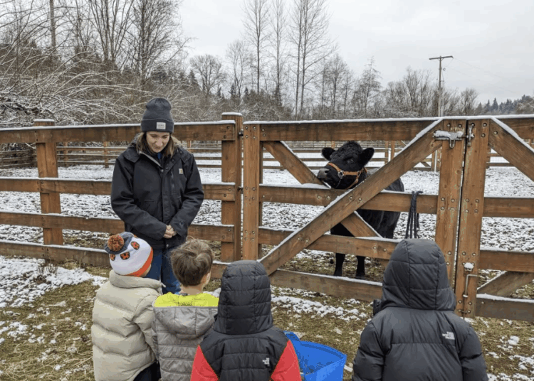 Free Kid-Friendly Events in Seattle This Weekend