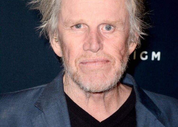 Gary Busey condenou a dois anos de liberdade condicional depois de se declarar culpado de tateando a mulher na convenção - National Enquirer