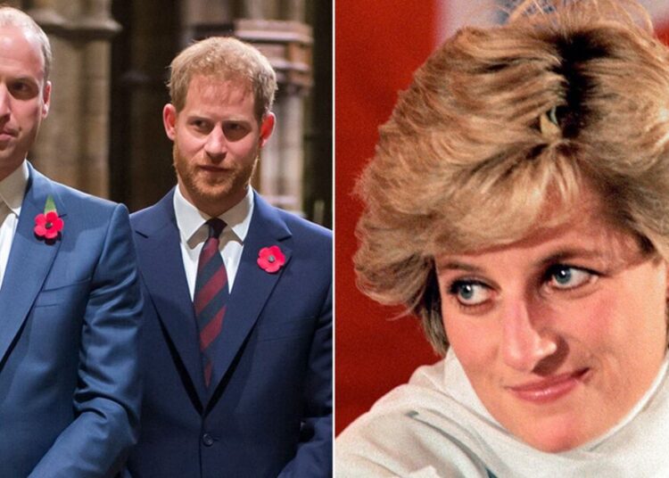 Harry e William ficam 'entristecidos' com as notícias da Princesa Diana – Celebrity News – Entretenimento
