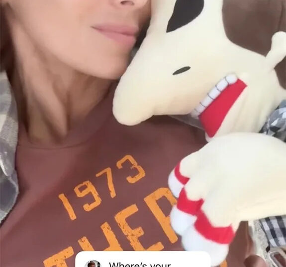 Hilaria Baldwin aborda os rumores do problema do casamento de Alec Baldwin