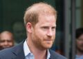 Instituição de caridade do príncipe Harry é cortada por parceiro importante por causa da caça furtiva – Royals – Notícias