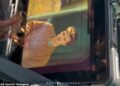 Jackie Apostel, 30, compartilha fotos do BTS do novo videoclipe do namorado Cruz Beckham enquanto mostra seu apoio depois que a cantora, 20, lançou um single MUITO explícito sobre drogas e sexo