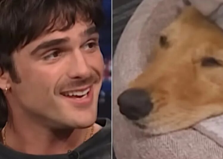 Jacob Elordi parece monstruosamente fofo com maquiagem completa de ‘Frankenstein’ com seu cachorro