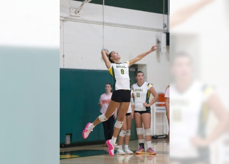 Jaidan Alexander, Royal – Notícias Diárias