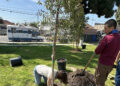 Jennifer Garner espalha amor e sai com um dia de plantio de árvores em Los Angeles