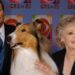 June Lockhart de 'Lassie' e 'Lost In Space' morre aos 100 anos