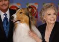 June Lockhart, querida figura materna de 'Lassie' e 'Lost In Space', morre aos 100 anos | Notícias de celebridades