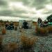 Left To Suffer lança novo videoclipe para 'This Comfort Won't Last Here Long'