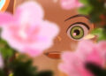 'Little Amélie' e 'Arco' ganham prêmios no Animation Is Film Festival