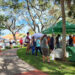 Música, arte, festivais e muito mais