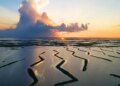 O fotógrafo de Lafayette capturou Louisiana por 50 anos. | Entretenimento/Vida