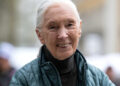 O gerente de talentos fala depois que Jane Goodall morre em sua casa 'cercada por árvores com pássaros tecendo música'