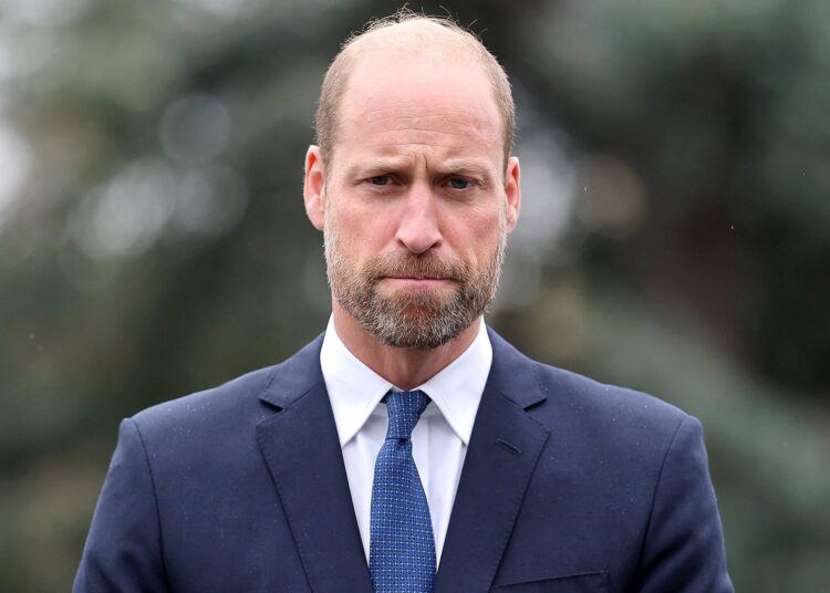 O príncipe William pode pedir a um “azarão” real para assumir um papel mais proeminente, afirma um especialista real