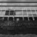 O público presta homenagem a Sua Majestade a Rainha Sirikit, a Rainha Mãe, no Hospital Chulalongkorn