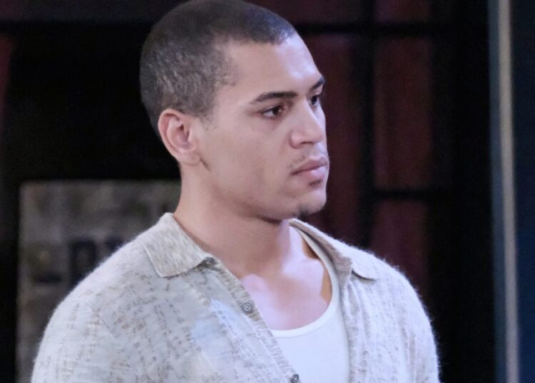 O que está acontecendo com Theo On Dool?