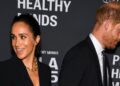 Os esforços pós-reais de Meghan Markle não refletem trabalho humanitário suficiente, afirma especialista